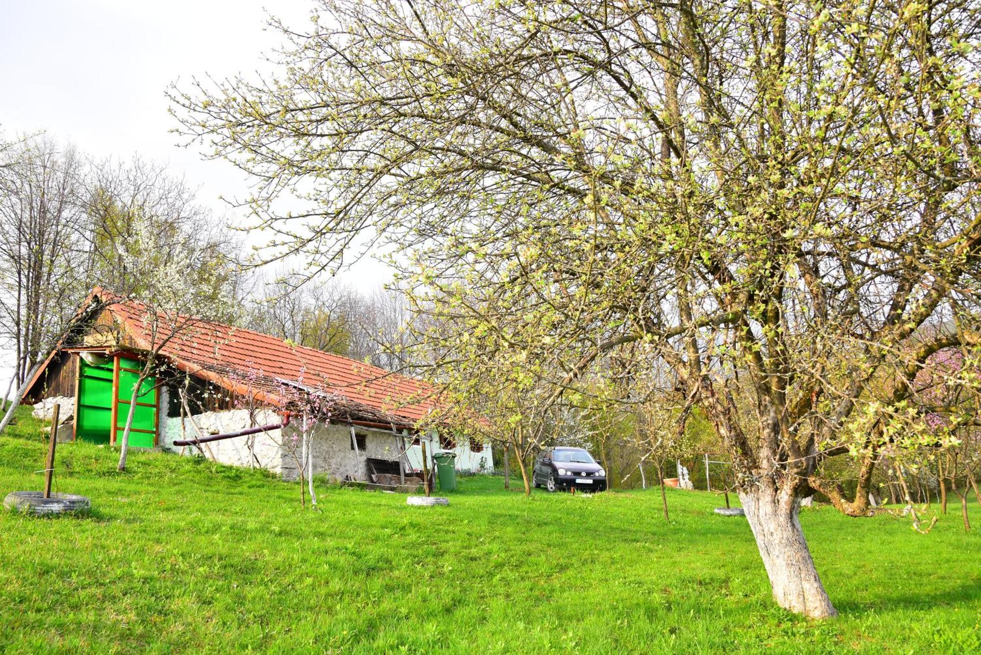 La Salasul Fermecat In Cheile Carasului Iabalcea Exterior photo