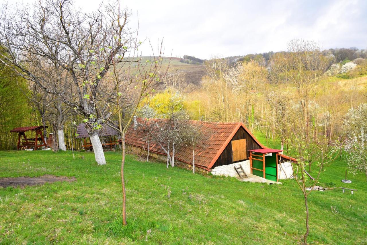 La Salasul Fermecat In Cheile Carasului Iabalcea Exterior photo