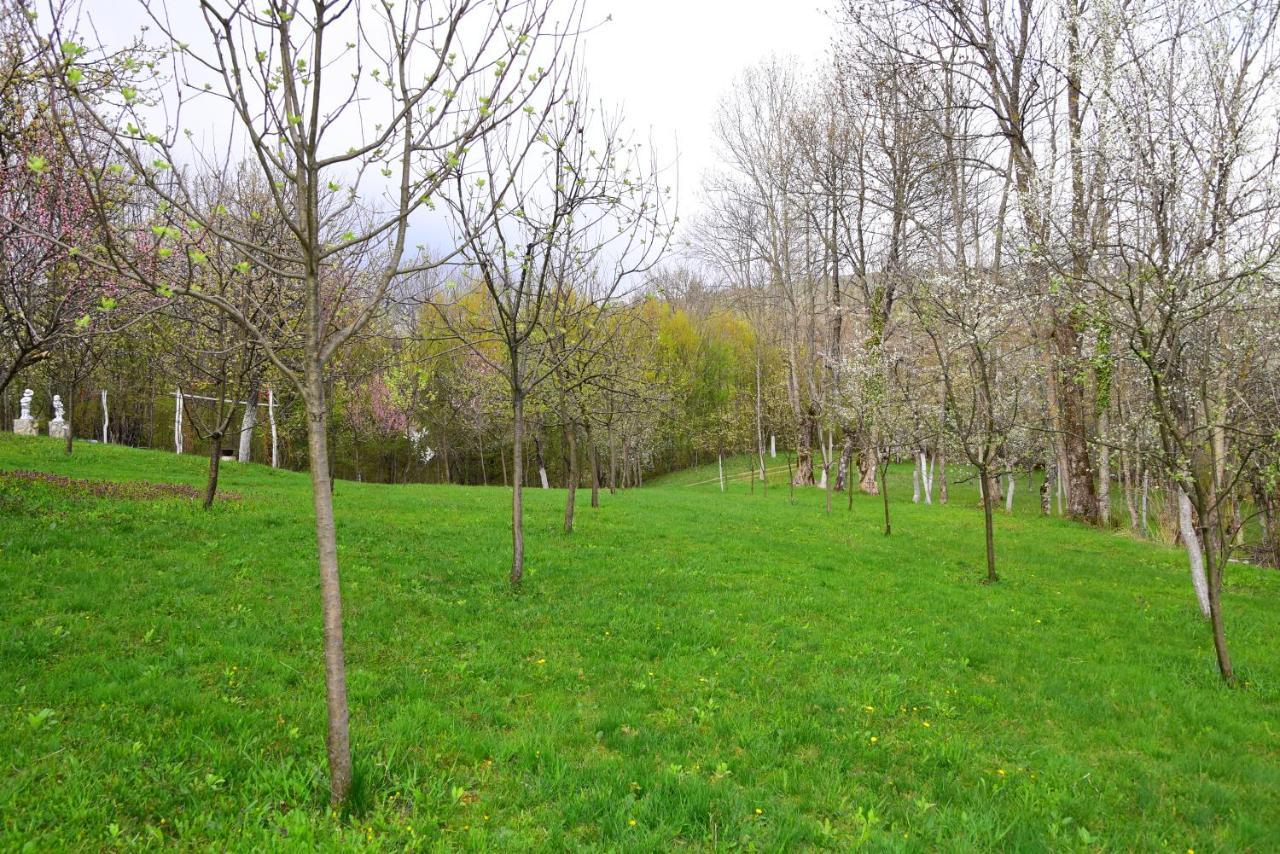 La Salasul Fermecat In Cheile Carasului Iabalcea Exterior photo