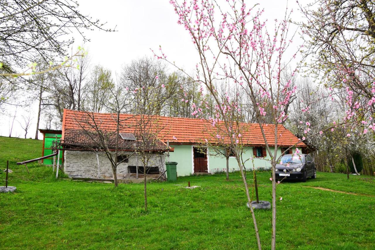 La Salasul Fermecat In Cheile Carasului Iabalcea Exterior photo