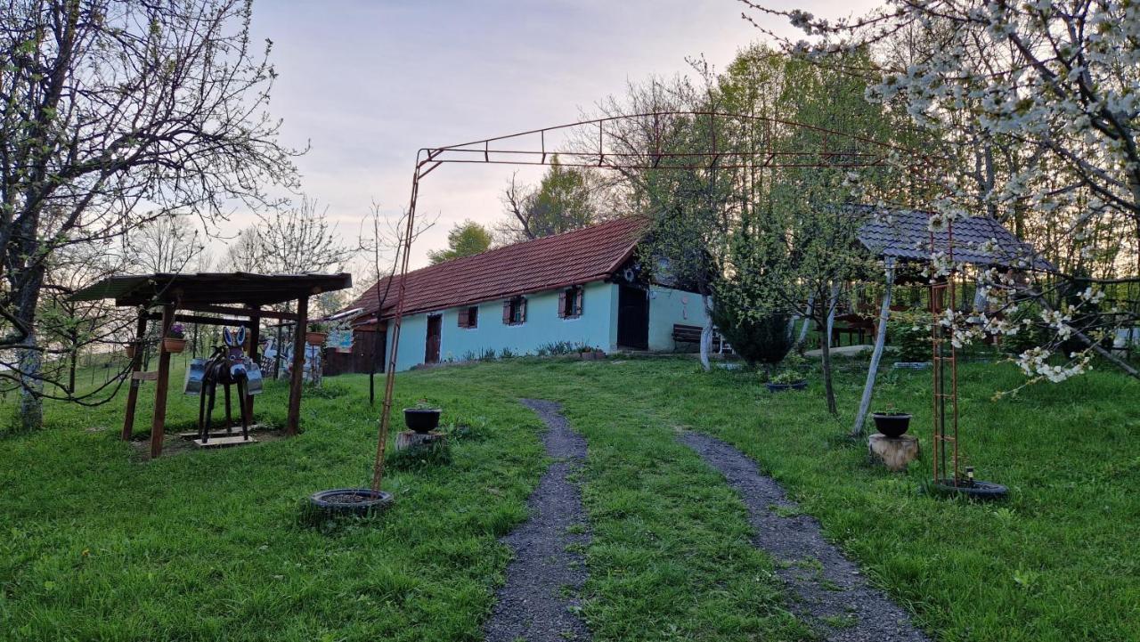La Salasul Fermecat In Cheile Carasului Iabalcea Exterior photo
