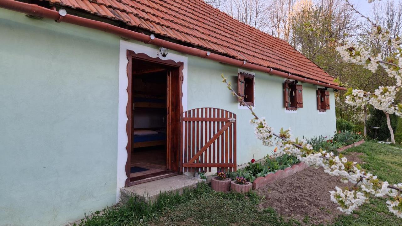 La Salasul Fermecat In Cheile Carasului Iabalcea Exterior photo