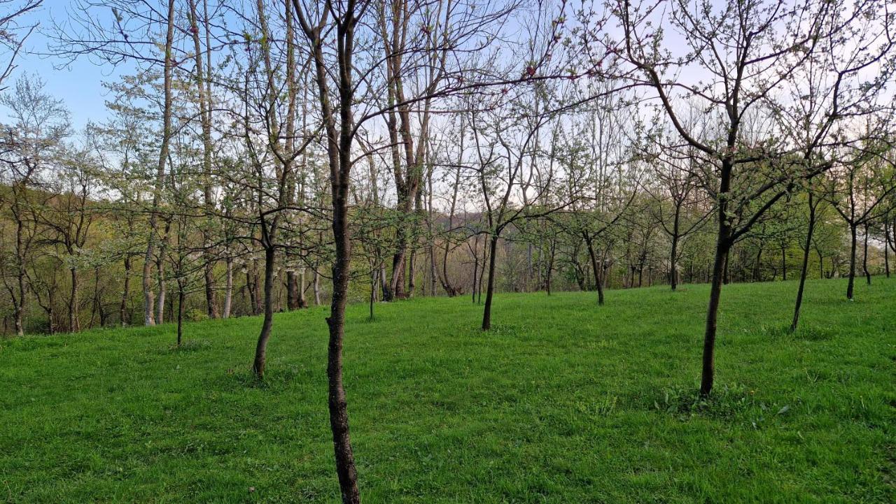 La Salasul Fermecat In Cheile Carasului Iabalcea Exterior photo