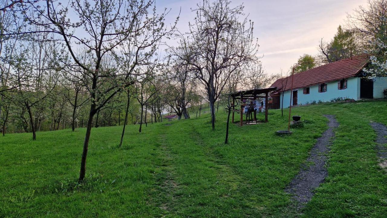 La Salasul Fermecat In Cheile Carasului Iabalcea Exterior photo